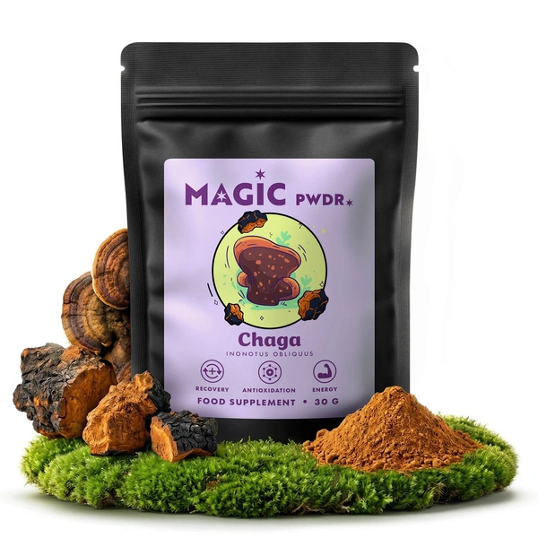 Magic Pwdr chaga suplemento à base de cogumelos
