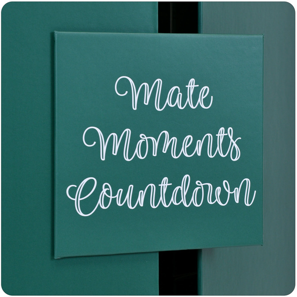 Calendário do Advento – yerba mate e acessórios – Verde Mate e outras marcas