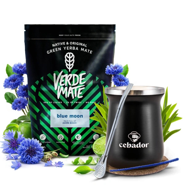 Conjuto de Erva Mate Verde Mate 500g 0,5kg Calabaza Térmica TermoMate PRO