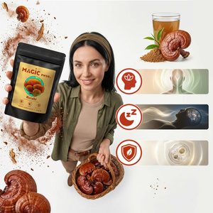 Magic Pwdr – Reishi 100 g