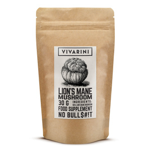 Vivarini – Lion’s Mane – Juba de Leão 30 g