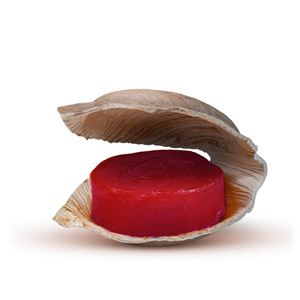 Sabonete Holy Lama – Chacra Raiz