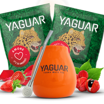 Yerba Mateo set + Bombilla to get you started