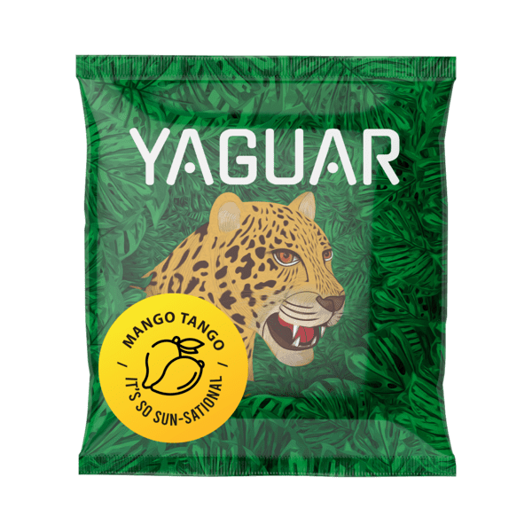 Yerba Mate conjunto de inverno inicial