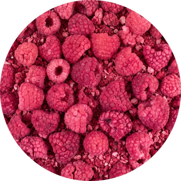 FiloLilo – Framboesa liofilizada 20 g