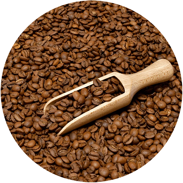 Coffee Broastery Brazil Mogiana