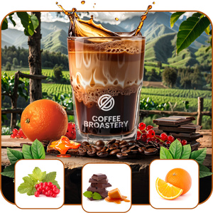 Bro Coffee Roastery - Café em grão inteiro Colombia Medellin Premium 400g