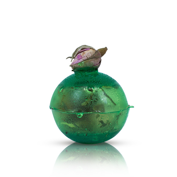 Mary Rose – Sunny Garden bomba de chá (mini)