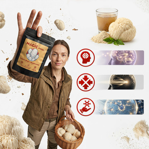 Magic Pwdr – Lion’s Mane – Juba de Leão 100 g