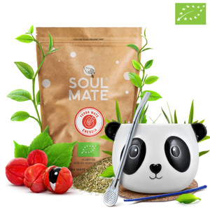 Conjuto de Erva Mate Soul Mate Energia 500g Calabaza + Bombilla