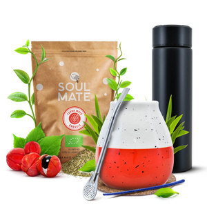 Conjunto de erva-mate Soul Mate Energia 500g + garrafa térmica