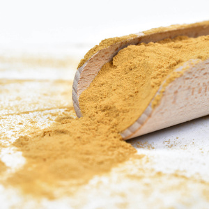 Vivarini – Lion’s Mane – Juba de Leão 30 g