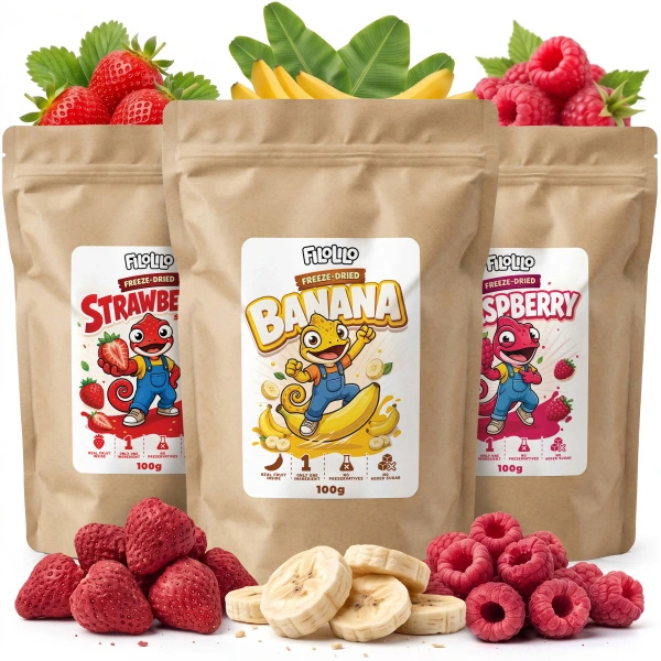 Kit de frutas liofilizadas FiloLilo 3×100g
