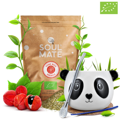 Conjuto de Erva Mate Soul Mate Energia 500g Calabaza + Bombilla