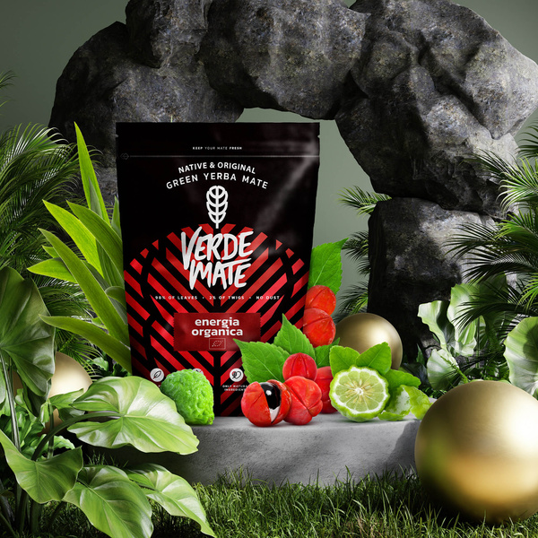 Trio Yerba Verde Mate on START for beginners