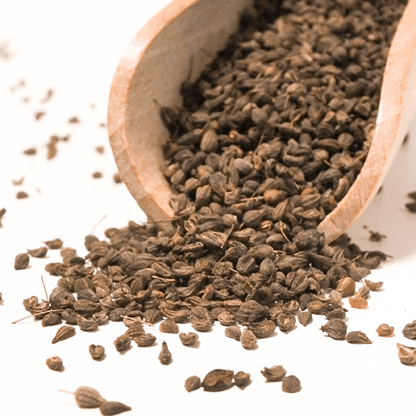 Vivarini - Anis (biológico) 50 g