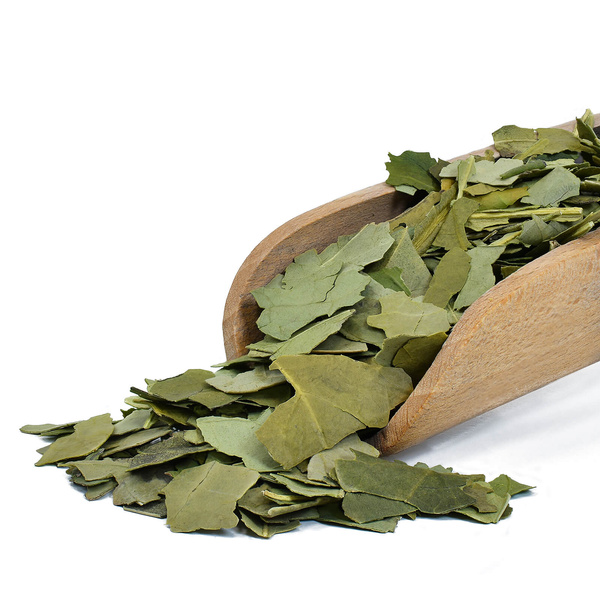 Conjunto de oferta de Erva Mate Verde Mate Premium