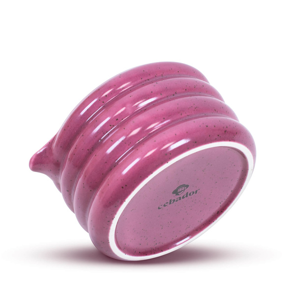 Kit para preparar Purple Matcha