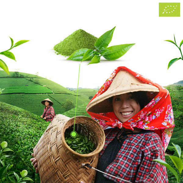 Mary Rose – Chá verde Matcha Tenno japonês (BIO) Cerimonial 50 g