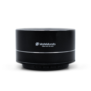 Altifalante com o logótipo MateMundo