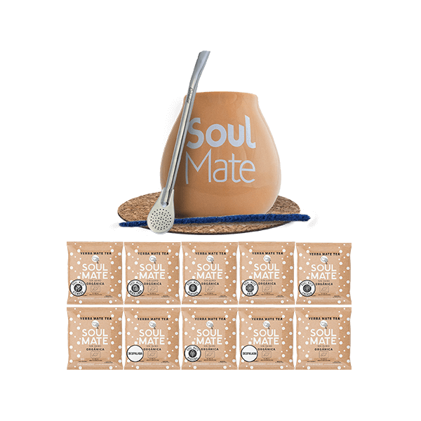 Huge Starter Kit Yerba Mate Mix 10 x 50 g