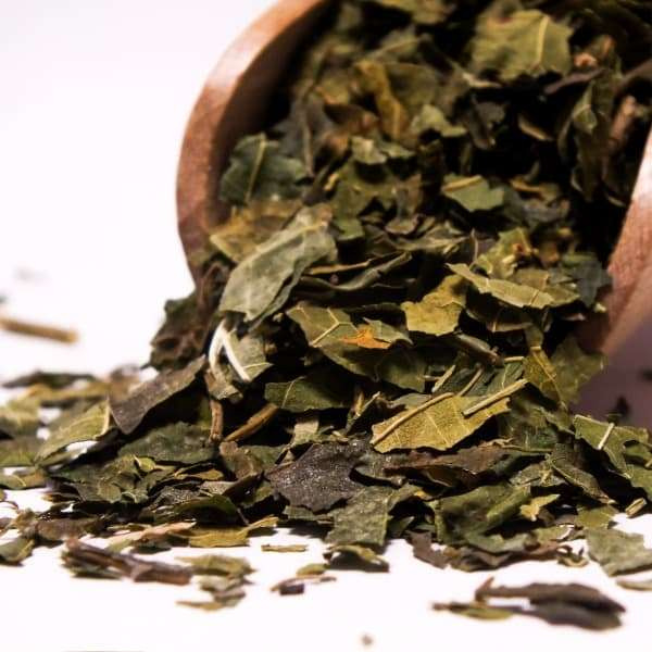 Vivarini - Amora (folha) 50 g