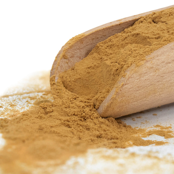 Magic Pwdr – Chaga 30 g