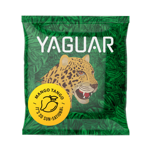 Yerba Mate conjunto de inverno inicial