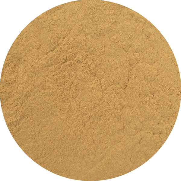 Magic Pwdr – Reishi 100 g