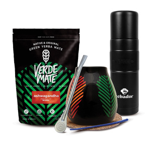 Conjuto de Erva Mate Verde Mate 400g 0,4kg Yerbomos XL + Calabaza + Bombilla