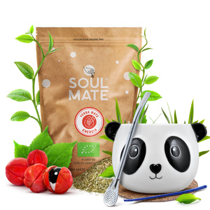Conjuto de Erva Mate Soul Mate Energia 500g Calabaza + Bombilla