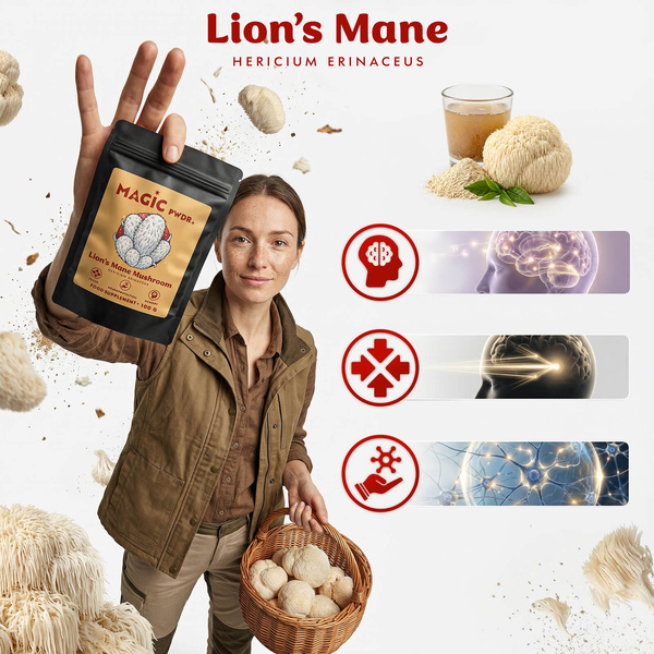 Magic Pwdr – Lion’s Mane – Juba de Leão 100 g