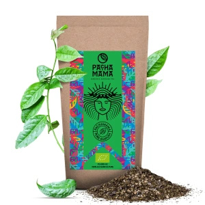Trio Guayusa para START para principiantes