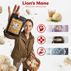 Magic Pwdr – Lion’s Mane – Juba de Leão 30 g