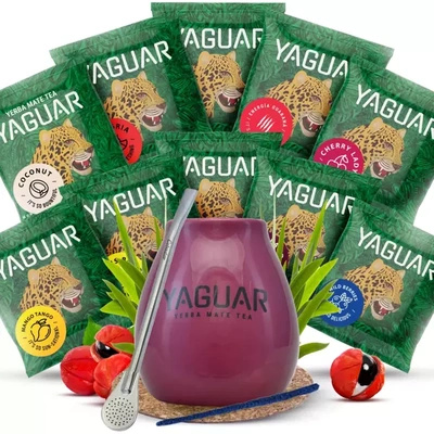 Set Yerba Mate Yaguar 10x50g Calabash Bombilla