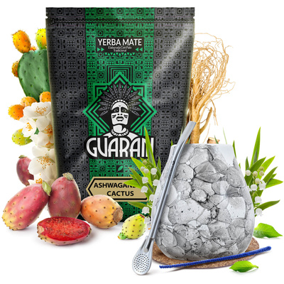 Conjuto de Erva Mate Guarani Ashwagandha 500g Calabaza + Bombilla