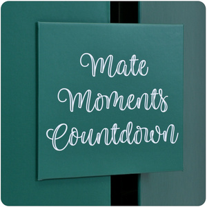 Calendário do Advento – yerba mate e acessórios – Verde Mate e outras marcas