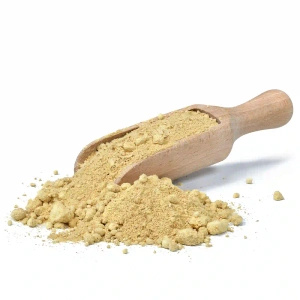 Vivarini - Gengibre (moído) 0.5kg