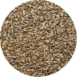 Vivarini - Cardo mariano (sementes) 0,5 kg