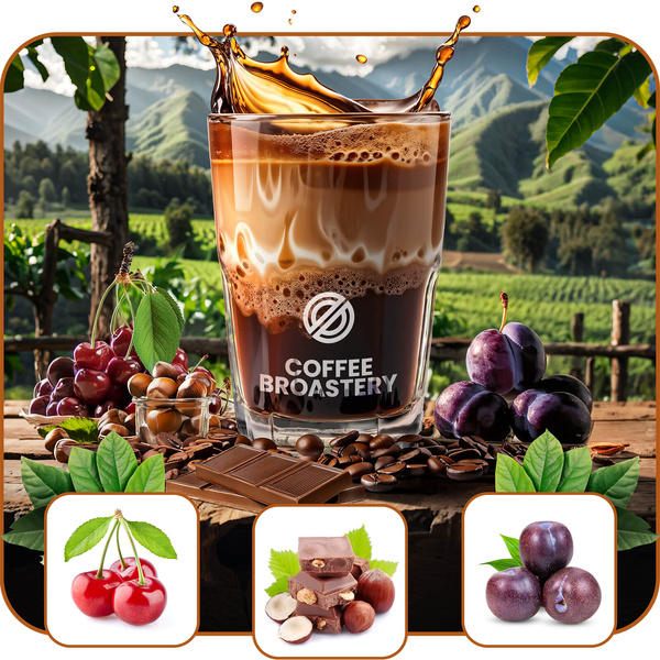 Coffee Broastery - Café em grão inteiro Costa Rica San Rafael Speciality 400g