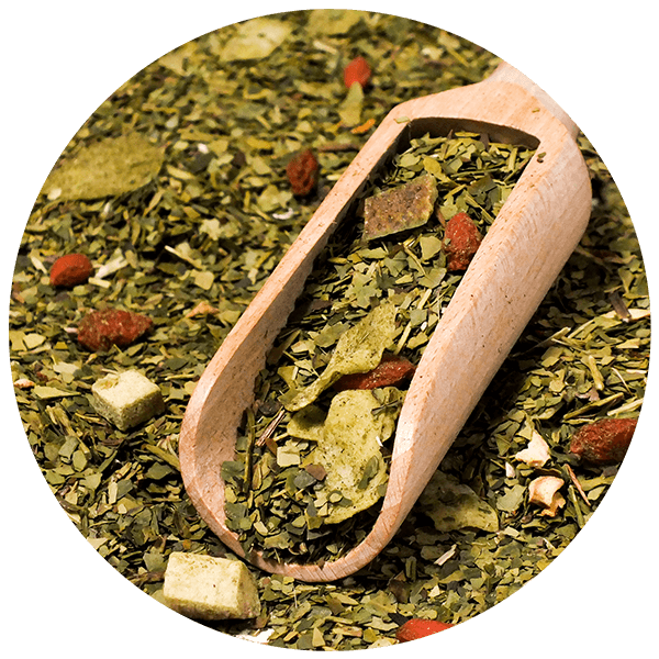 Trio Yerba Verde Mate on START for beginners