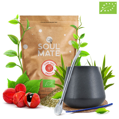 Conjunto inicial de Erva Mate Bombilla Calabaza 500g