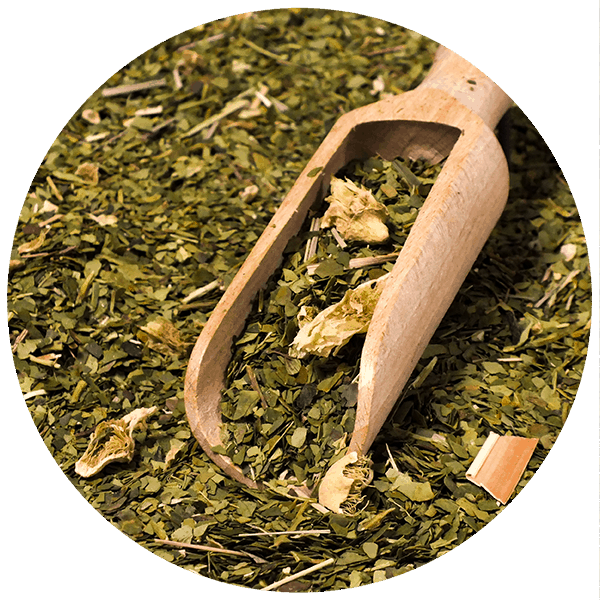 Yerbera – Lata metálica + Verde Mate Green Cactus de Juarez 0,5 kg