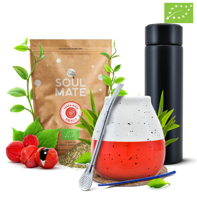 Conjunto de erva-mate Soul Mate Energia 500g + garrafa térmica