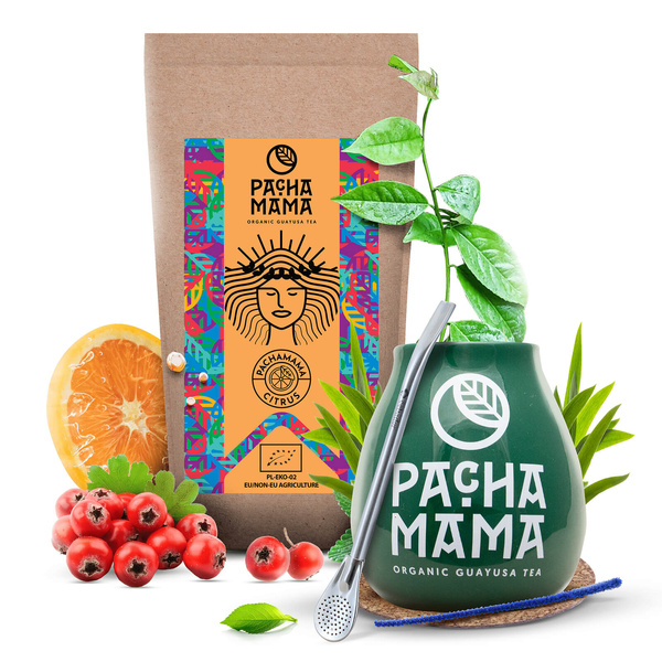Conjuto de Guayusa Pachamama Citrus 100g + Calabaza + Bombilla