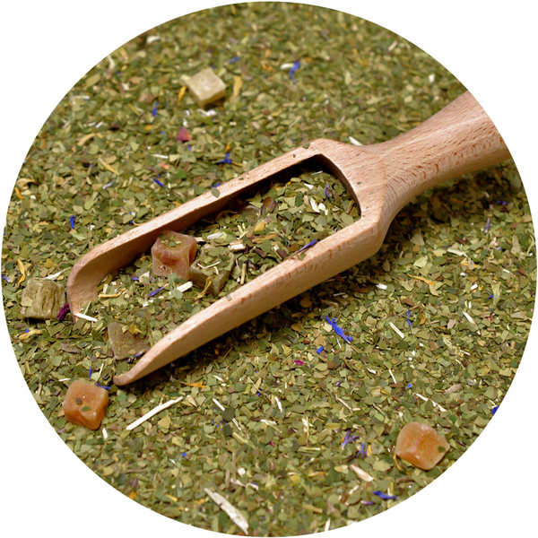 Trio Yerba Verde Mate on START for beginners