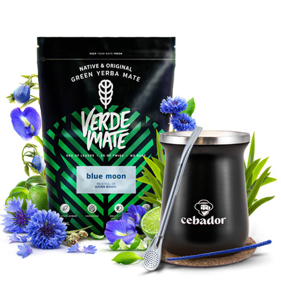 Conjuto de Erva Mate Verde Mate 500g 0,5kg Calabaza Térmica TermoMate PRO