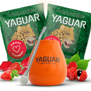 Yerba Mateo set + Bombilla to get you started